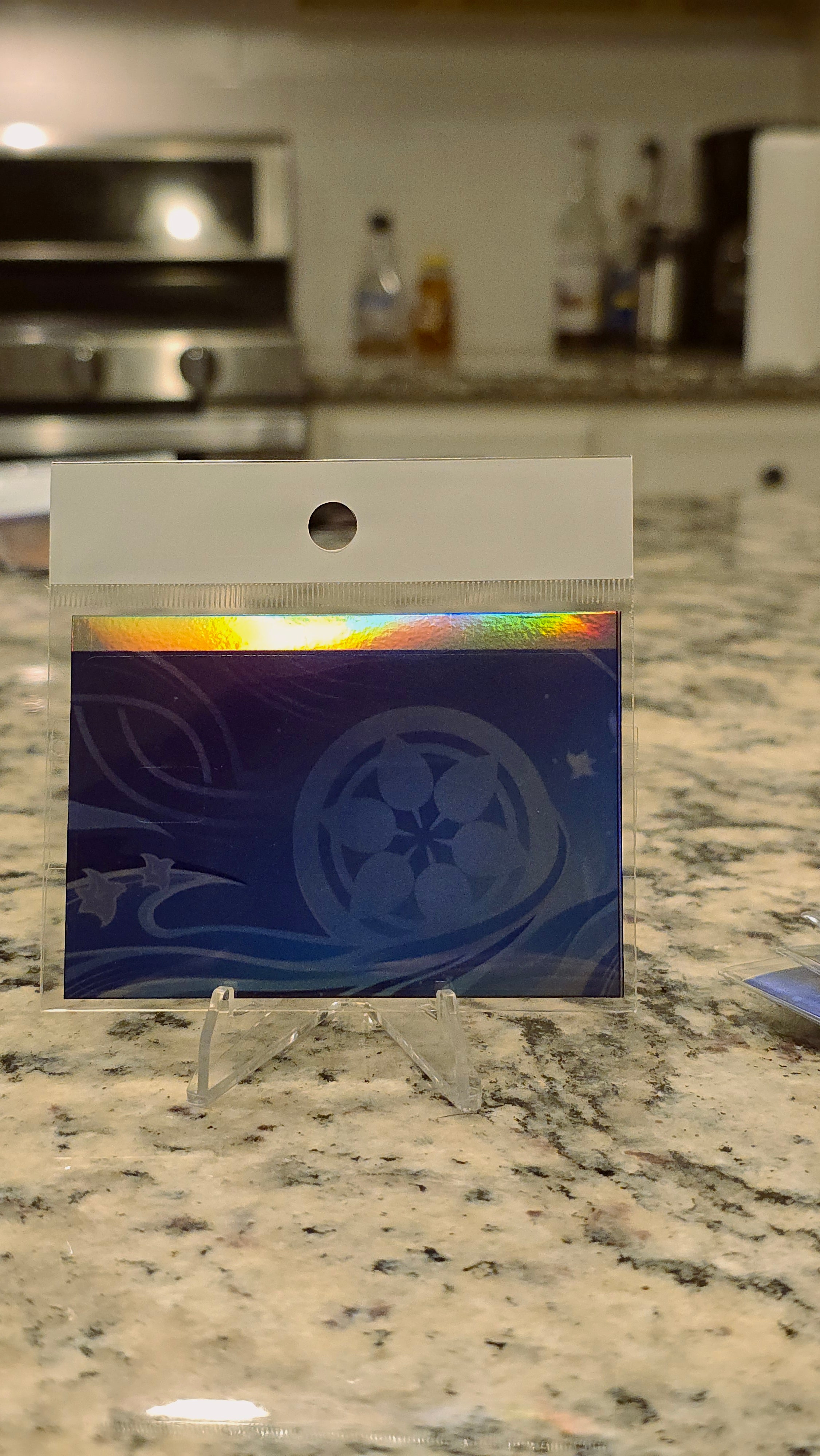 💨 Wanderer (Holographic Edition)