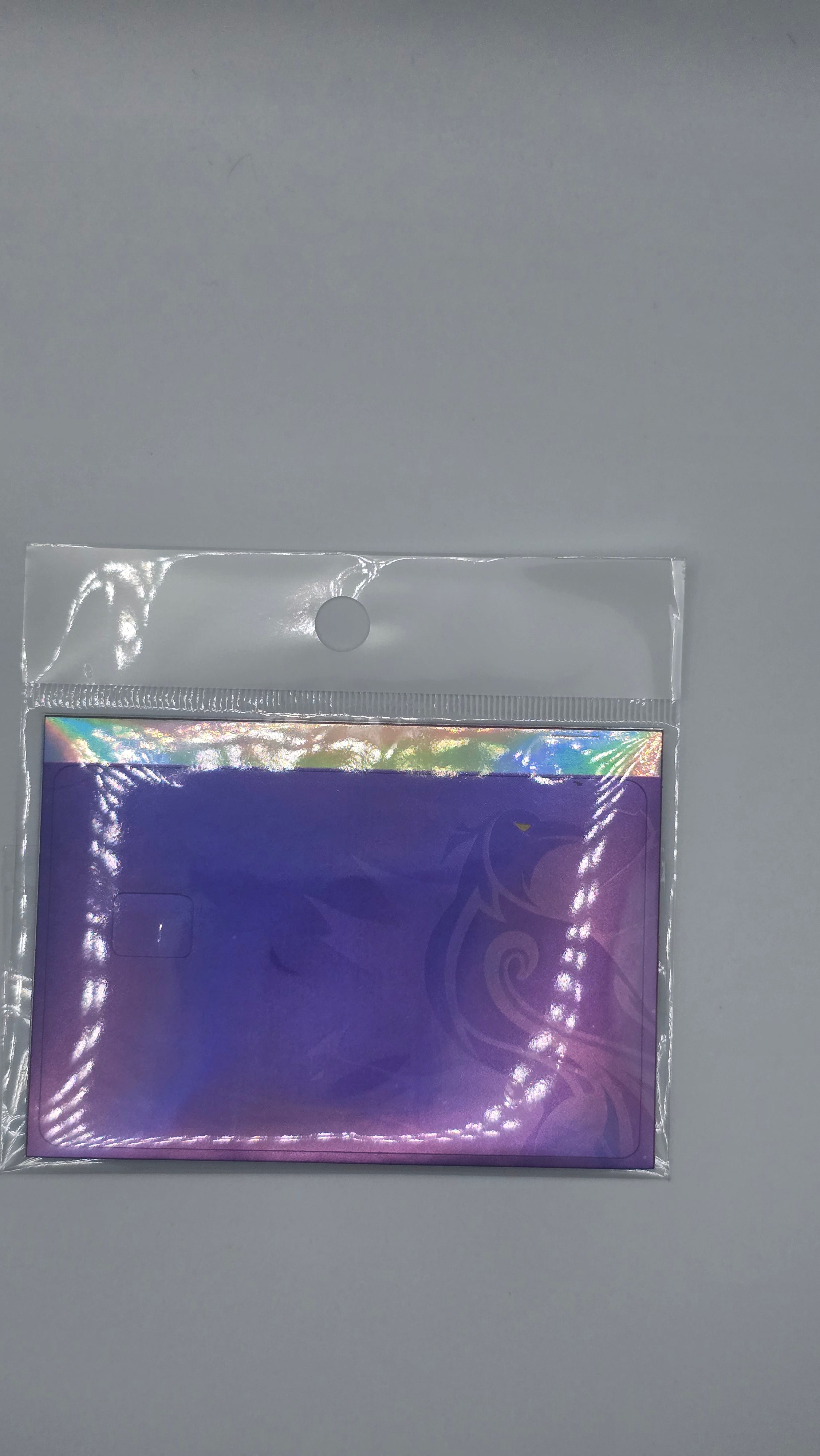 π¦
β‘ Fischl (Holographic Edition)